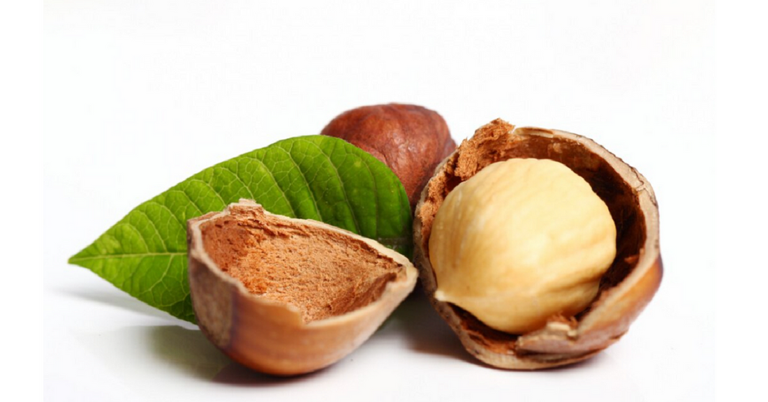 Shea Butter Benefits for Your Active Lifestyle